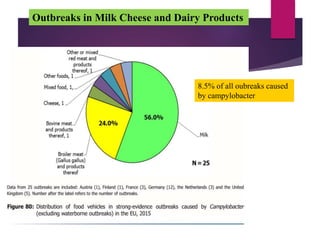 Outbreaks in Milk Cheese and Dairy Products
8.5% of all oubreaks caused
by campylobacter
 
