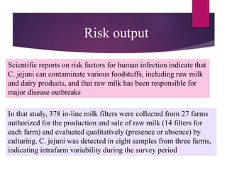 Scientific reports on risk factors for human infection indicate that
C. jejuni can contaminate various foodstuffs, including raw milk
and dairy products, and that raw milk has been responsible for
major disease outbreaks
In that study, 378 in-line milk filters were collected from 27 farms
authorized for the production and sale of raw milk (14 filters for
each farm) and evaluated qualitatively (presence or absence) by
culturing. C. jejuni was detected in eight samples from three farms,
indicating intrafarm variability during the survey period
Risk output
 