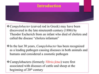 Campylobacter (curved rod in Greek) may have been
discovered in the late nineteenth century (1886) by
Theodor Escherich from an infant who died of cholera and
called the disease “cholera infantum”
In the last 30 years, Campylobacter has been recognized
as a leading pathogen causing diseases in both animals and
humans and considered a zoonotic pathogen
Campylobacters (formerly Vibrio fetus) were first
associated with diseases of cattle and sheep at the
beginning of 20th century
Introduction
 