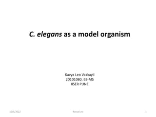 C. elegans as a model organism
Kavya Leo Vakkayil
20101080, BS-MS
IISER PUNE
1
10/5/2022 Kavya Leo
 