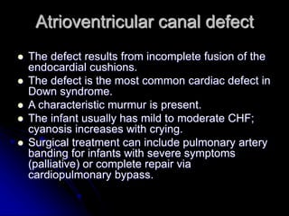 Atrioventricular canal defect
 The defect results from incomplete fusion of the
endocardial cushions.
 The defect is the most common cardiac defect in
Down syndrome.
 A characteristic murmur is present.
 The infant usually has mild to moderate CHF;
cyanosis increases with crying.
 Surgical treatment can include pulmonary artery
banding for infants with severe symptoms
(palliative) or complete repair via
cardiopulmonary bypass.
 