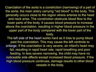 Coarctation of the aorta is a constriction (narrowing) of a part of
the aorta, the main artery carrying "red blood" to the body. This
generally occurs close to the region where arteries to the head
and neck arise. The constriction obstructs blood flow to the
lower parts of the body. It causes blood pressure to increase
above the coarctation, resulting in higher blood pressure in the
upper part of the body compared with the lower part of the
body.
The left side of the heart works hard as it tries to pump blood
past the coarctation. This may cause the left ventricle to
enlarge. If the coarctation is very severe, an infant's heart may
fail, resulting in rapid heart rate, rapid breathing and poor
feeding. In less severe narrowing, the child may have no
noticeable side effects except increased blood pressure. If the
high blood pressure continues, damage results to other blood
vessels in the body.
 