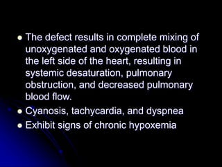  The defect results in complete mixing of
unoxygenated and oxygenated blood in
the left side of the heart, resulting in
systemic desaturation, pulmonary
obstruction, and decreased pulmonary
blood flow.
 Cyanosis, tachycardia, and dyspnea
 Exhibit signs of chronic hypoxemia
 