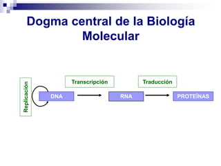 Dogma central de la Biología
Molecular
DNA RNA PROTEÍNAS
Replicación
Transcripción Traducción
 