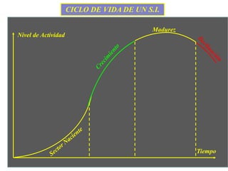 CICLO DE VIDA DE UN S.I.
Nivel de Actividad
Tiempo
Madurez
 