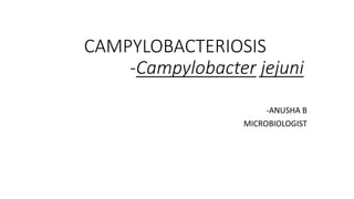 CAMPYLOBACTERIOSIS
-Campylobacter jejuni
-ANUSHA B
MICROBIOLOGIST
 