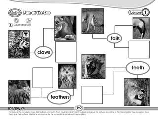 Lesson
Fun at the Zoo
Third Grade
Third Grade
1 Glue and say.
1
192
T. introduce the concepts: claws, tails, feathers, and teeth. Then, have Ss look at their HW cutouts and group the pictures according to the characteristics they recognize. Have
them glue their pictures. Monitor Ss work and ask for the name of the animal part they are gluing.
claws
feathers
teeth
tails
 