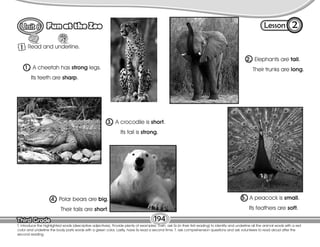 Lesson
Fun at the Zoo
Third Grade
Third Grade 194
2
1 Read and underline.
T. introduce the highlighted words (descriptive adjectives). Provide plenty of examples. Then, ask Ss (in their first reading) to identify and underline all the animal words with a red
color and underline the body parts words with a green color. Lastly, have Ss read a second time. T. ask comprehension questions and ask volunteers to read aloud after the
second reading.
1. A cheetah has strong legs.
Its teeth are sharp.
2. Elephants are tall.
Their trunks are long.
3. A crocodile is short.
Its tail is strong.
4. Polar bears are big.
Their tails are short.
5. A peacock is small.
Its feathers are soft.
 