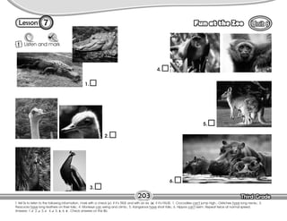 Third Grade
Third Grade
7
T. tell Ss to listen to the following information, mark with a check ( ) if it’s TRUE and with an ex (x) if it’s FALSE. 1. Crocodiles can’t jump high.; Ostriches have long necks.; 3.
Peacocks have long feathers on their tails.; 4. Monkeys can swing and climb.; 5. Kangaroos have short tails.; 6. Hippos can’t swim. Repeat twice at normal speed.
Answers: 1. , 2. , 3. , 4. , 5. x, 6. x . Check answers on the Bb.
1
Mark
Listen and mark
Lesson Fun at the Zoo
7
1.
2.
3.
4.
5.
6.
203 Third Grade
Third Grade
 