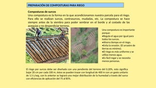 Compostura Riego y biofertilización papas nativas.pptx
