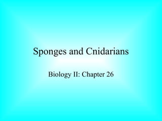 Sponges and Cnidarians
Biology II: Chapter 26
 
