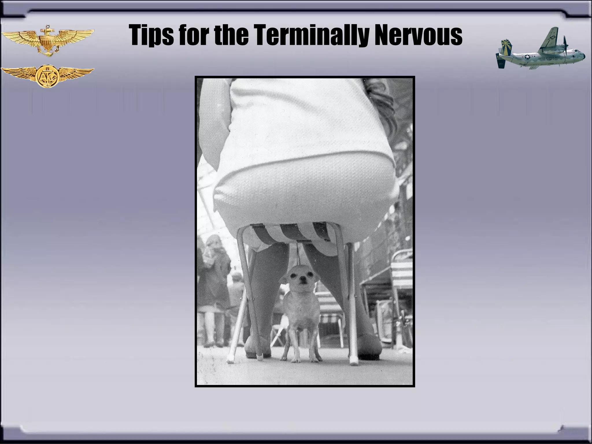 Tips for the Terminally Nervous
 