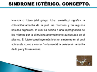 SINDROME ICTÉRICO. CONCEPTO.
Ictericia o íctero (del griego ictus: amarillez) significa la
coloración amarilla de la piel, las mucosas y de algunos
líquidos orgánicos, la cual es debida a una impregnación de
los mismos por la bilirrubina anormalmente aumentada en el
plasma. El íctero constituye más bien un síndrome en el cual
sobresale como síntoma fundamental la coloración amarilla
de la piel y las mucosas.
 