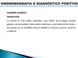 CUADRO CLÍNICO:
INSPECCIÓN:
La ictericia es más visible: esclerótica, cara inferior de la lengua, bóveda
palatina, velo del paladar, frente, pecho, abdomen y cara interna de los muslos.
De acuerdo con su tonalidad o tinte se clasifica en: flavínica, rubínica, verdínica
y melánica.
 