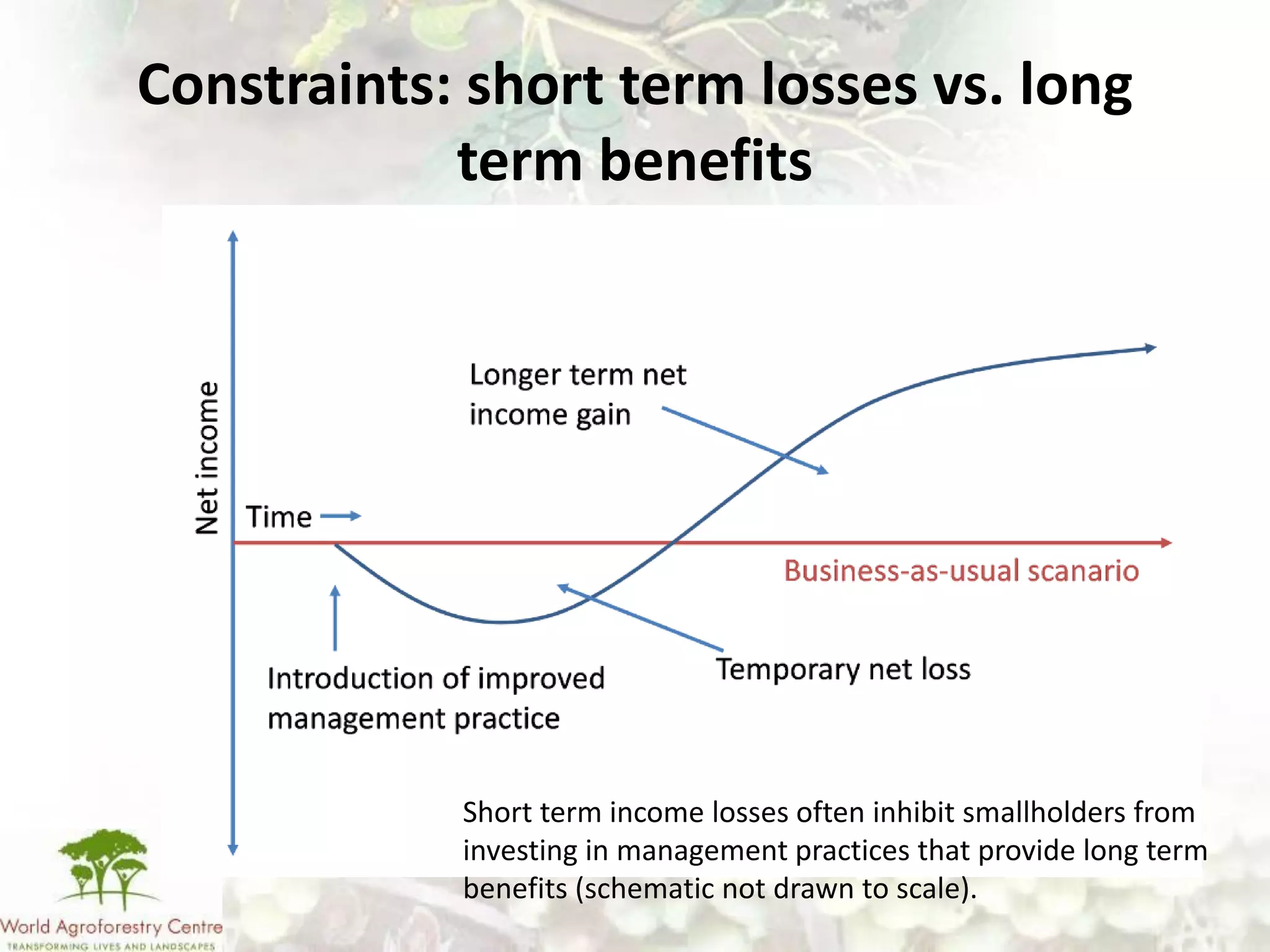 Constraints: short term losses vs. long
            term benefits




            Short term income losses often inhibit smallholders from
            investing in management practices that provide long term
            benefits (schematic not drawn to scale).
 