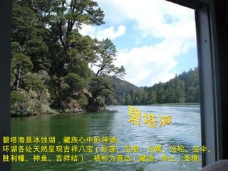 碧塔海 碧塔海是冰蚀湖，藏族心中的神湖。 环湖各处天然呈现吉祥八宝（妙莲、宝瓶、白螺、法轮、宝伞、 胜利幢、神鱼、吉祥结），被称为普达（藏语 : 净土）圣境。 