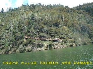 沿栈道行走，约 4.2 公里，可经过朝圣台、水铃湾、妙音塘等景点   