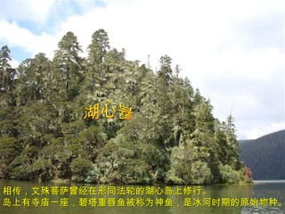 相传，文殊菩萨曾经在形同法轮的湖心岛上修行。 岛上有寺庙一座，碧塔重唇鱼被称为神鱼，是冰河时期的原始物种。  湖心岛 