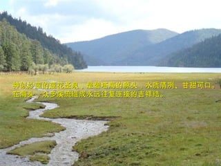 神似妙莲的莲花圣泉，是碧塔海的源头，水质清冽、甘甜可口。 在海头，众多溪流组成永远往复连接的吉祥结。 