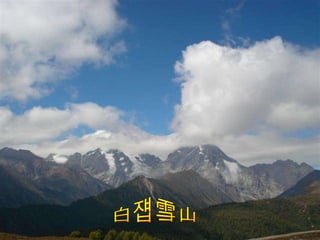 白马雪山 