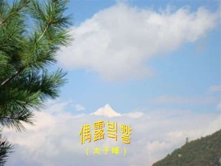 偶露峥嵘 （太子峰） 