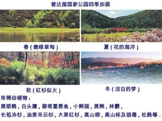 春 ( 嫩绿草甸 ) 夏 ( 花的海洋 ) 秋 ( 红杉似火 ) 冬 ( 洁白的梦 ) 普达措国家公园四季如画 珍稀动植物 : 黑颈鹤 , 白头鹰 , 碧塔重唇鱼 , 小熊猫 , 黑熊 , 林麝 , 长苞冷杉 , 油麦吊云杉 , 大果红杉 , 高山柳 , 高山栎及狼毒 , 杜鹃 等 . 