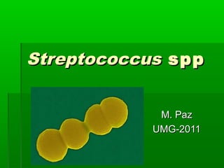 StreptococcusStreptococcus sppspp
M. PazM. Paz
UMG-2011UMG-2011
 