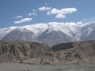 Data.Mining.C.6(II).classification and prediction