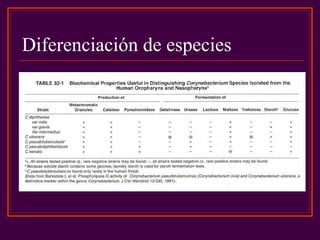 Diferenciación de especies
 