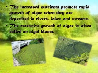 Reduced activity of immune system.Video chip aboutWater Pollution