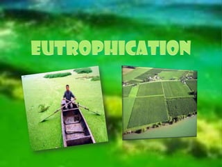 Increased incidence of diseases.