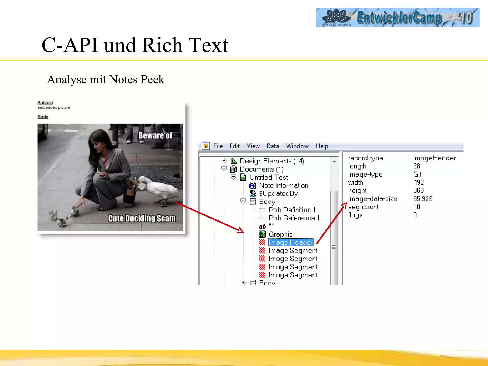 C-API und Rich Text Analyse mit Notes Peek 