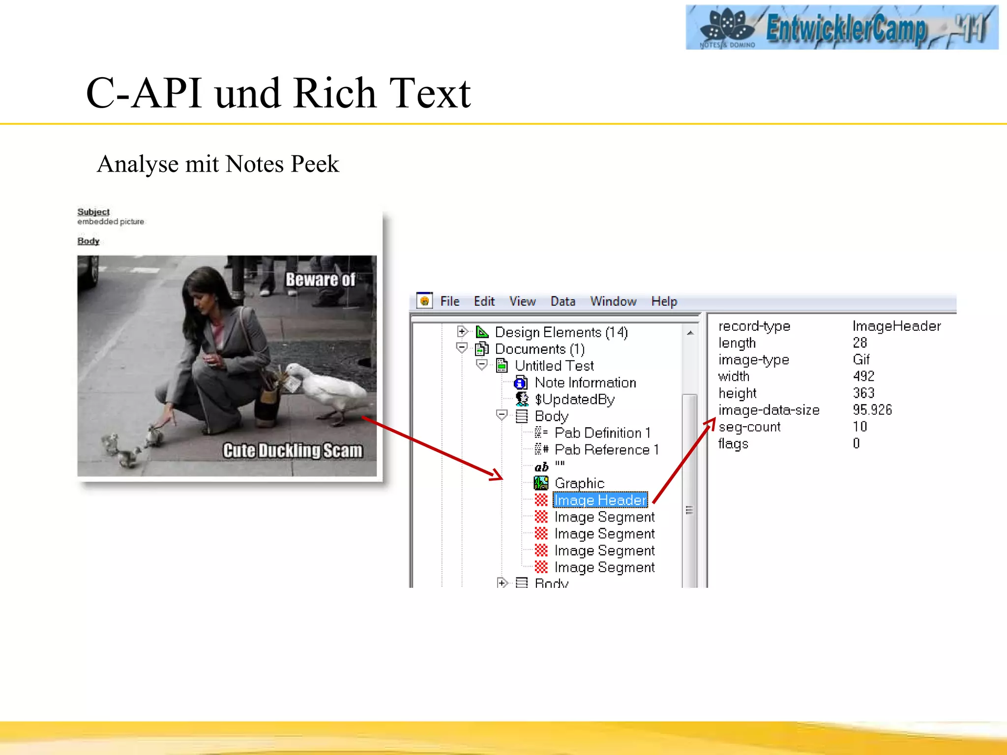 C-API und Rich Text Analyse mit Notes Peek 