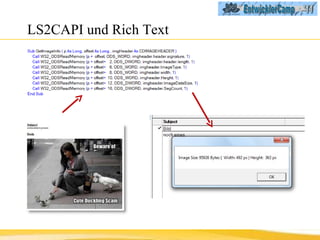 LS2CAPI und Rich Text 