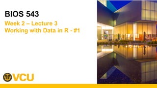 Biostatistics Working with data in R and coding | PPTX
