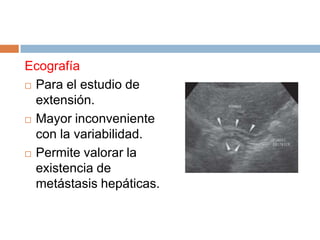 Ecografía
 Para el estudio de
extensión.
 Mayor inconveniente
con la variabilidad.
 Permite valorar la
existencia de
metástasis hepáticas.

 