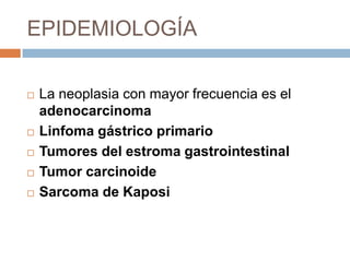 EPIDEMIOLOGÍA








La neoplasia con mayor frecuencia es el
adenocarcinoma
Linfoma gástrico primario
Tumores del estroma gastrointestinal
Tumor carcinoide
Sarcoma de Kaposi

 