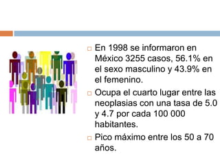 





En 1998 se informaron en
México 3255 casos, 56.1% en
el sexo masculino y 43.9% en
el femenino.
Ocupa el cuarto lugar entre las
neoplasias con una tasa de 5.0
y 4.7 por cada 100 000
habitantes.
Pico máximo entre los 50 a 70
años.

 