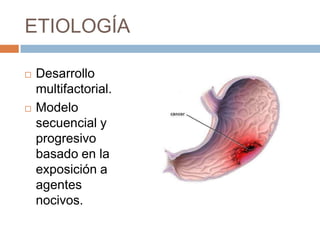 ETIOLOGÍA




Desarrollo
multifactorial.
Modelo
secuencial y
progresivo
basado en la
exposición a
agentes
nocivos.

 