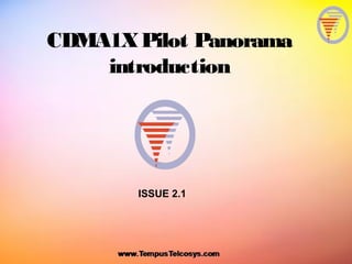 CDMA1XPilot Panorama
introduction
ISSUE 2.1
 
