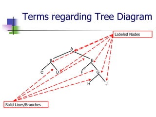 Terms regarding Tree Diagram
A
B E
C D F G
H J
Labeled Nodes
Solid Lines/Branches
 