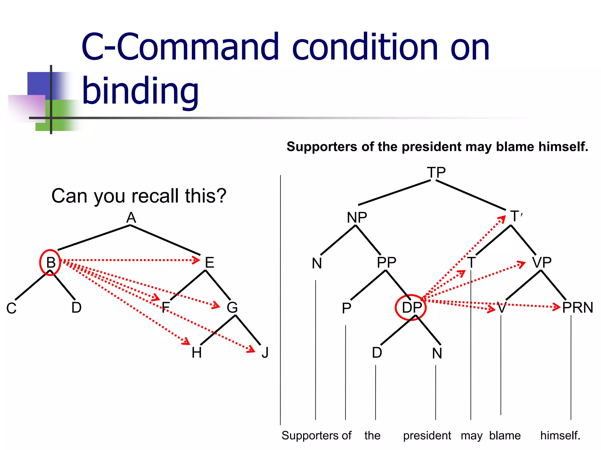 C-Command condition on
binding
Can you recall this?
A
B E
C D F G
H J
Supporters of the president may blame himself.
TP
NP T'
N PP T VP
V PRN
Supporters of the president may blame himself.
P DP
ND
 