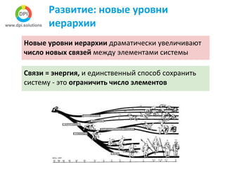Развитие: новые уровни
иерархии
Новые уровни иерархии драматически увеличивают
число новых связей между элементами системы
Связи = энергия, и единственный способ сохранить
систему - это ограничить число элементов
 