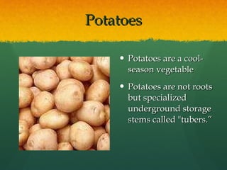 Potatoes Potatoes are a cool-season vegetable Potatoes are not roots but specialized underground storage stems called "tubers.” 