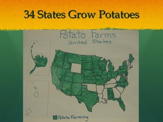 34 States Grow Potatoes 