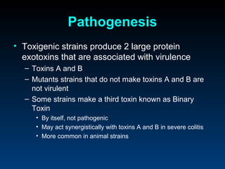 Pathogenesis
• Toxigenic strains produce 2 large protein
  exotoxins that are associated with virulence
  – Toxins A and B
  – Mutants strains that do not make toxins A and B are
    not virulent
  – Some strains make a third toxin known as Binary
    Toxin
     • By itself, not pathogenic
     • May act synergistically with toxins A and B in severe colitis
     • More common in animal strains
 