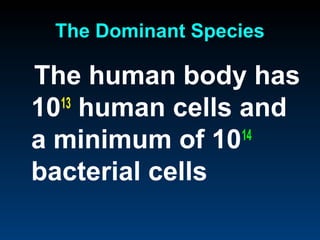 The Dominant Species

The human body has
10 human cells and
  13

a minimum of 10 14

bacterial cells
 