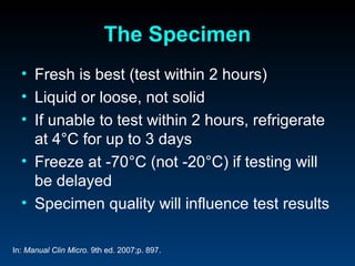 The Specimen
  • Fresh is best (test within 2 hours)
  • Liquid or loose, not solid
  • If unable to test within 2 hours, refrigerate
    at 4°C for up to 3 days
  • Freeze at -70°C (not -20°C) if testing will
    be delayed
  • Specimen quality will influence test results

In: Manual Clin Micro. 9th ed. 2007;p. 897.
 