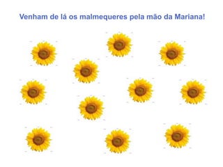 Venham de lá os malmequeres pela mão da Mariana!
 