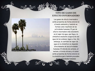 TIPO DE GASES DE
EFECTO INVERNADERO
 Los gases de efecto invernadero
están presentes de forma natural en
  el medio ambiente y también se
   forman como resultado de las
   actividades humanas. El gas de
efecto invernadero más abundante
 es el vapor de agua, que llega a la
atmósfera mediante evaporación del
agua de los océanos, lagos y ríos. Sin
 embargo, la cantidad de vapor de
 agua en la atmósfera no depende
  directamente de las actividades
 humanas. El dióxido de carbono, el
metano, el óxido nitroso y el ozono
están presentes de forma natural en
la atmósfera pero también proceden
    de las actividades humanas
 